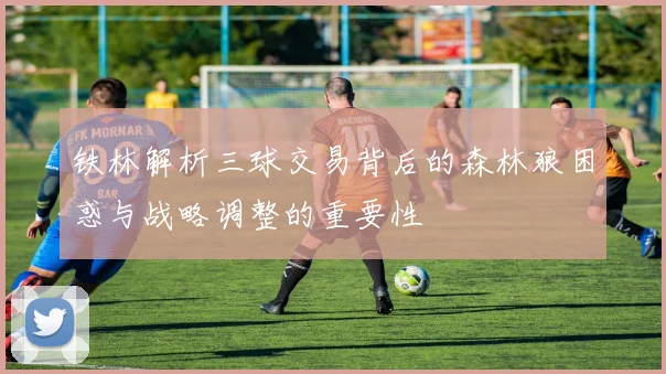 铁林解析三球交易背后的森林狼困惑与战略调整的重要性